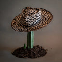 Amor Leopardo (57cm)