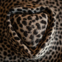 Amor Leopardo (57cm)